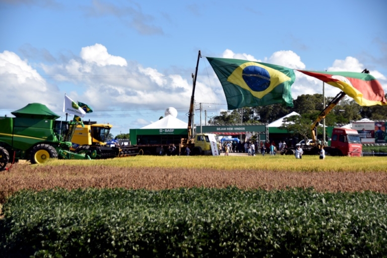 Abertura da Colheita: Arroz cresce em ponto de equilíbrio