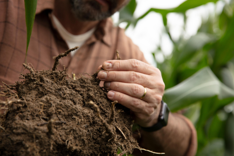 Bayer lança solução com IA para recomendar manejos focados em carbono no solo e na redução das emissões de CO2 