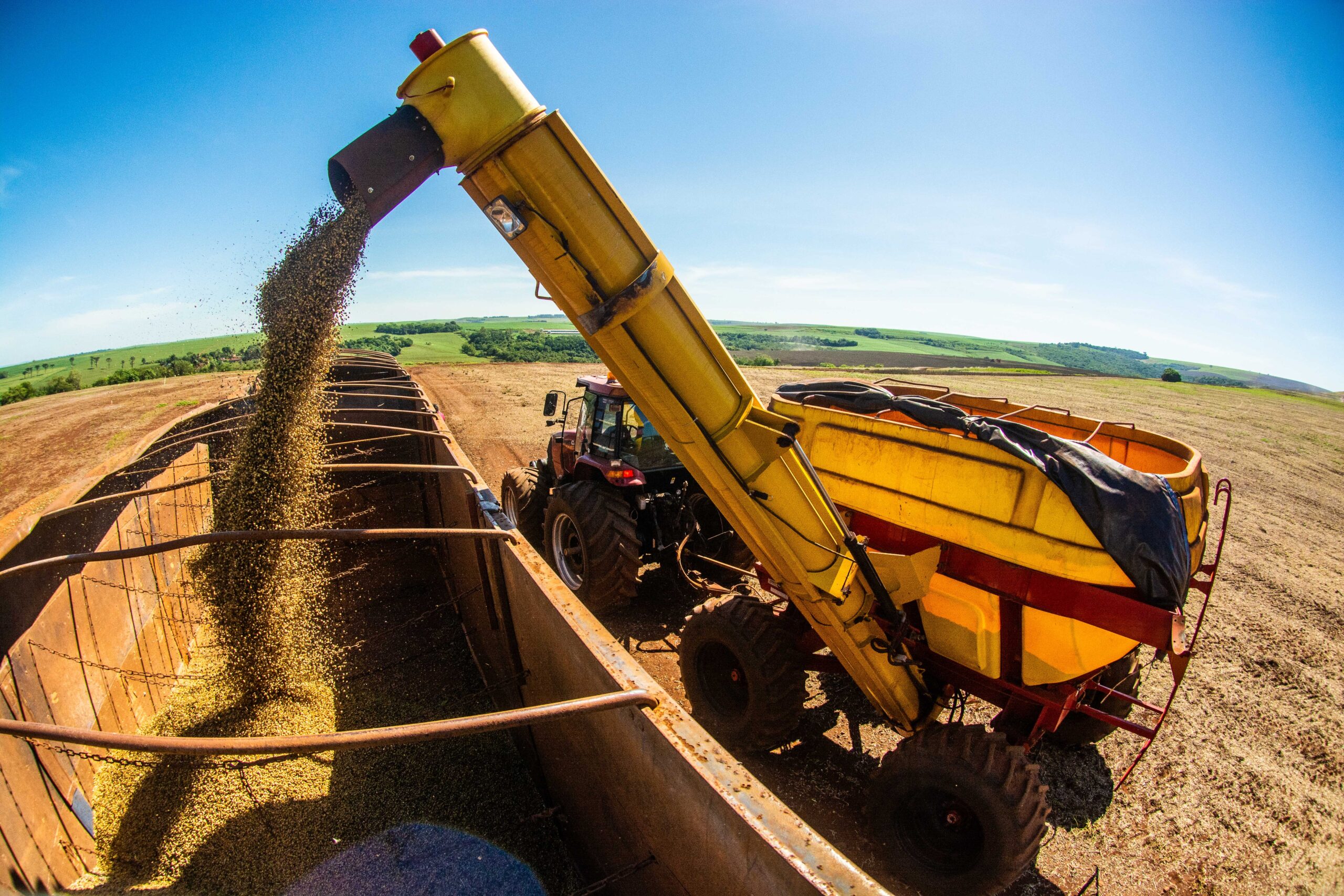 Congresso Brasileiro de Soja promove debates sobre produção, pesquisa e mercado de soja